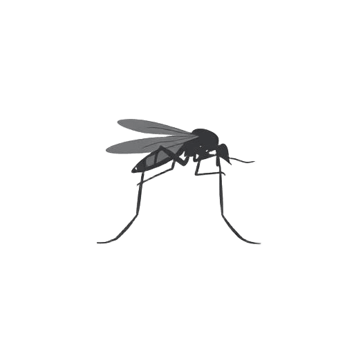 Mosquitos